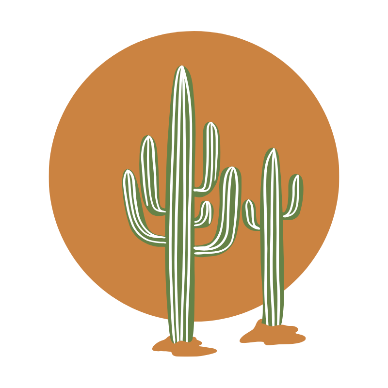 Saguaro Equity